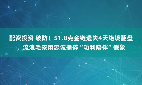 配资投资 破防！51.8克金链遗失4天绝境翻盘，流浪毛孩用忠诚撕碎“功利陪伴”假象